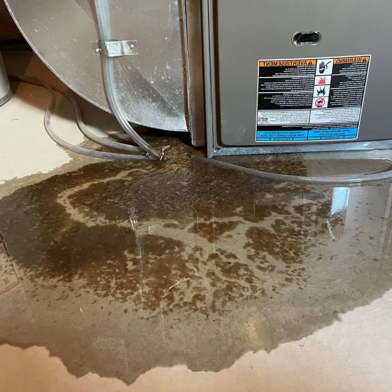 Pipe Burst and Leak Restoration in Madison Heights, VA
